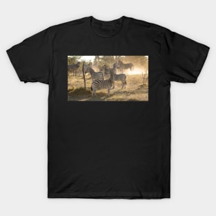 Zebras in the dust, Caprivi, Namibia T-Shirt